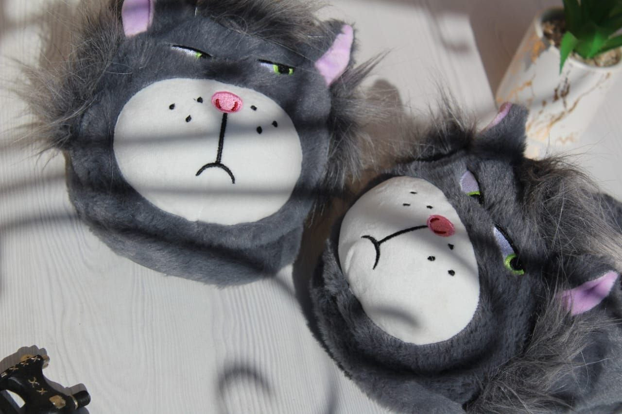Cat Slippers